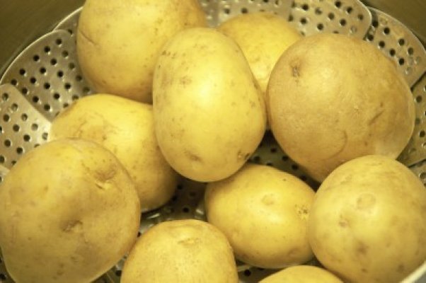 Românii nu mai vor să cultive cartofi
